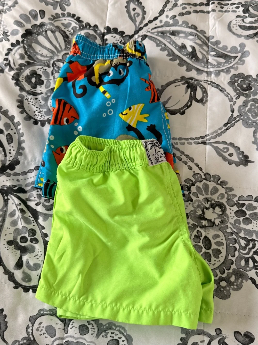 Polo Ralph Lauren bright neon